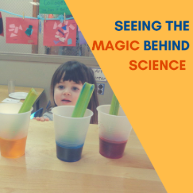 Seeing the magic behind science